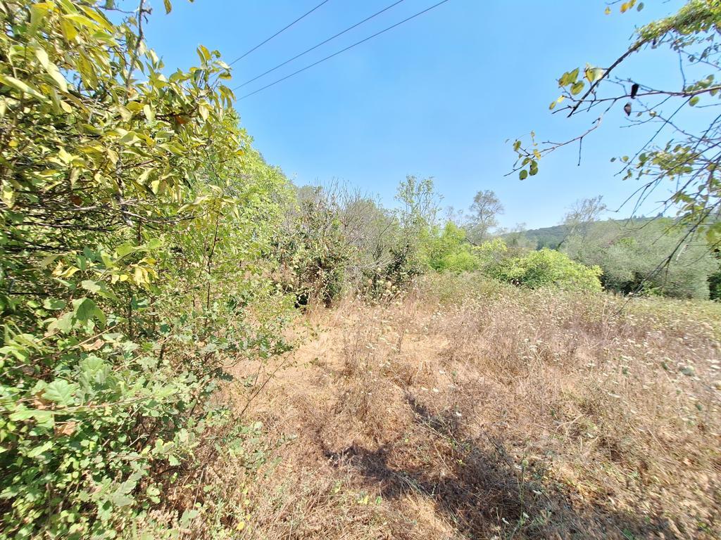 Land in Corfu, Corfu Prefecture, Greece – 63961