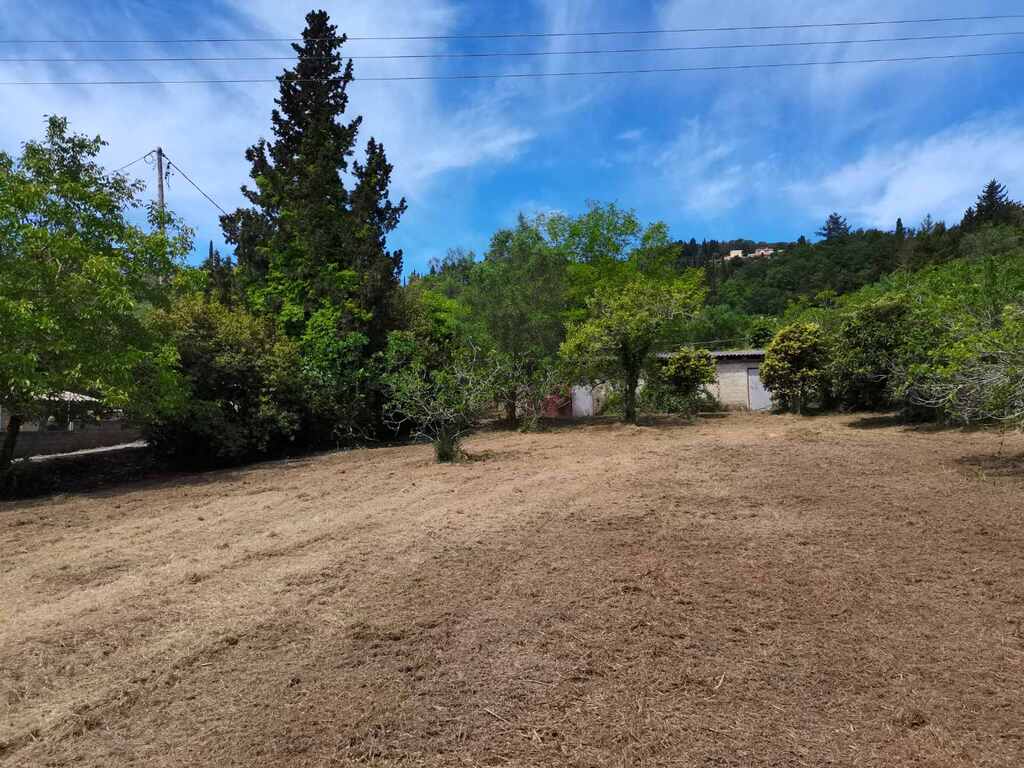Land in Corfu, Corfu Prefecture, Greece – 63961