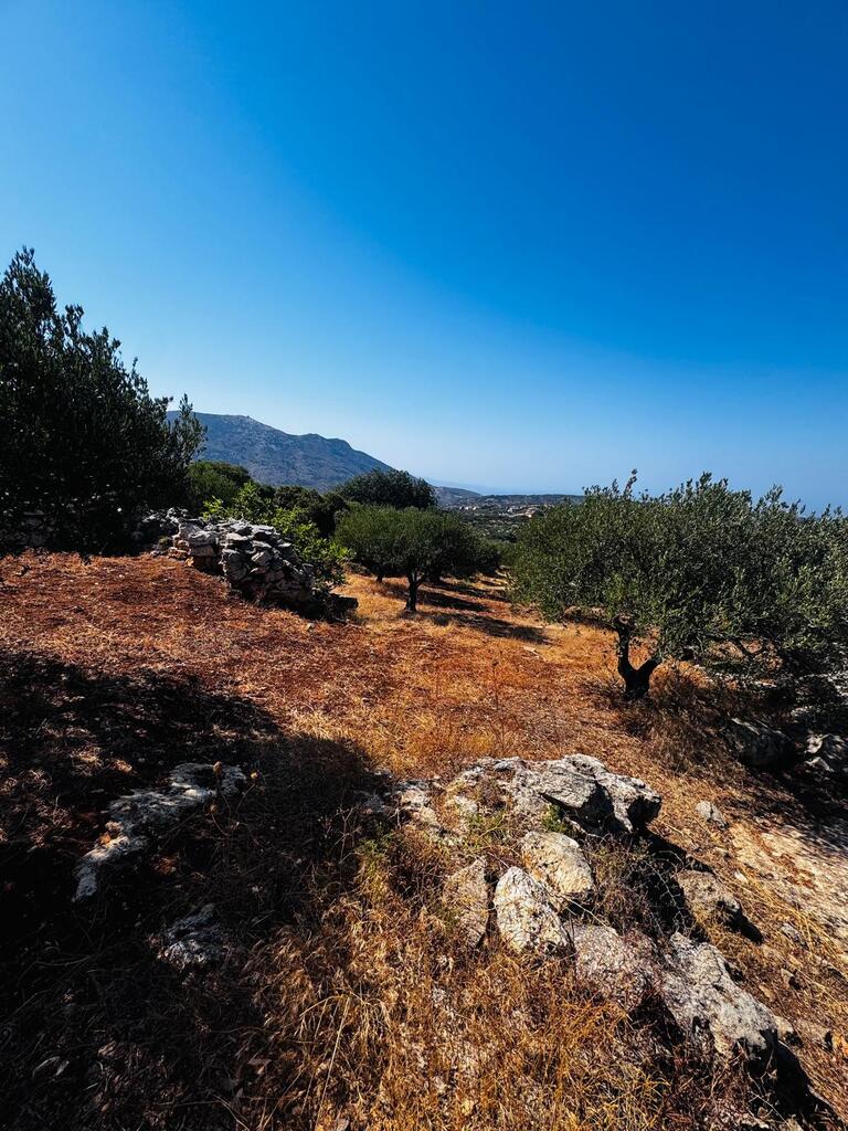 Land in Archanes, Heraklion Prefecture, Greece – 63958
