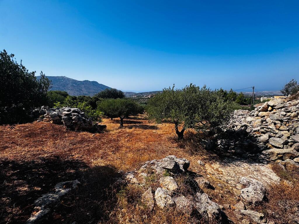Land in Archanes, Heraklion Prefecture, Greece – 63958