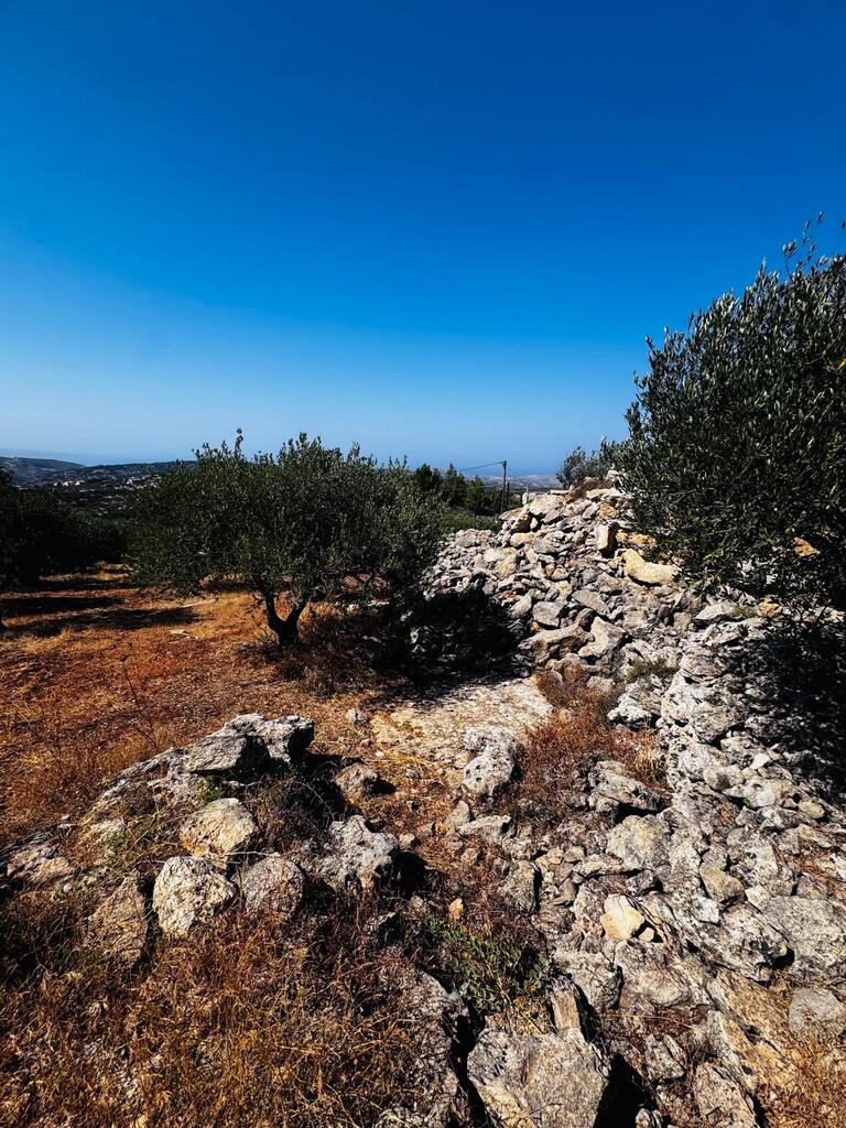 Land in Archanes, Heraklion Prefecture, Greece – 63958
