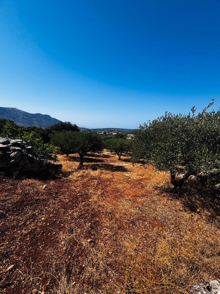 Land in Archanes, Heraklion Prefecture, Greece – 63958