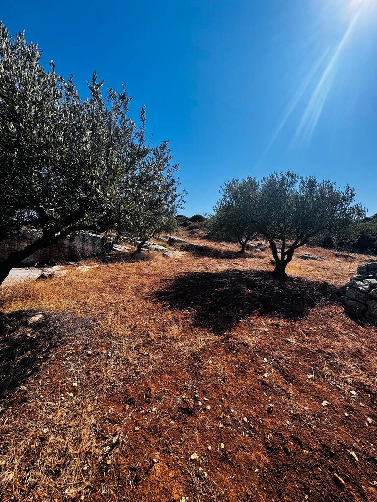 Land in Archanes, Heraklion Prefecture, Greece – 63958