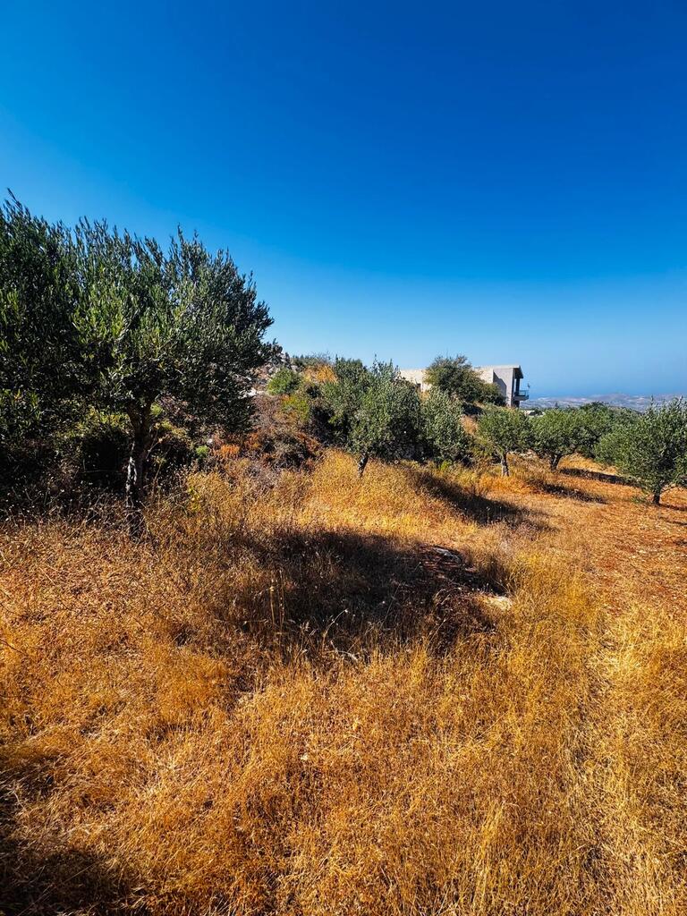 Land in Archanes, Heraklion Prefecture, Greece – 63958