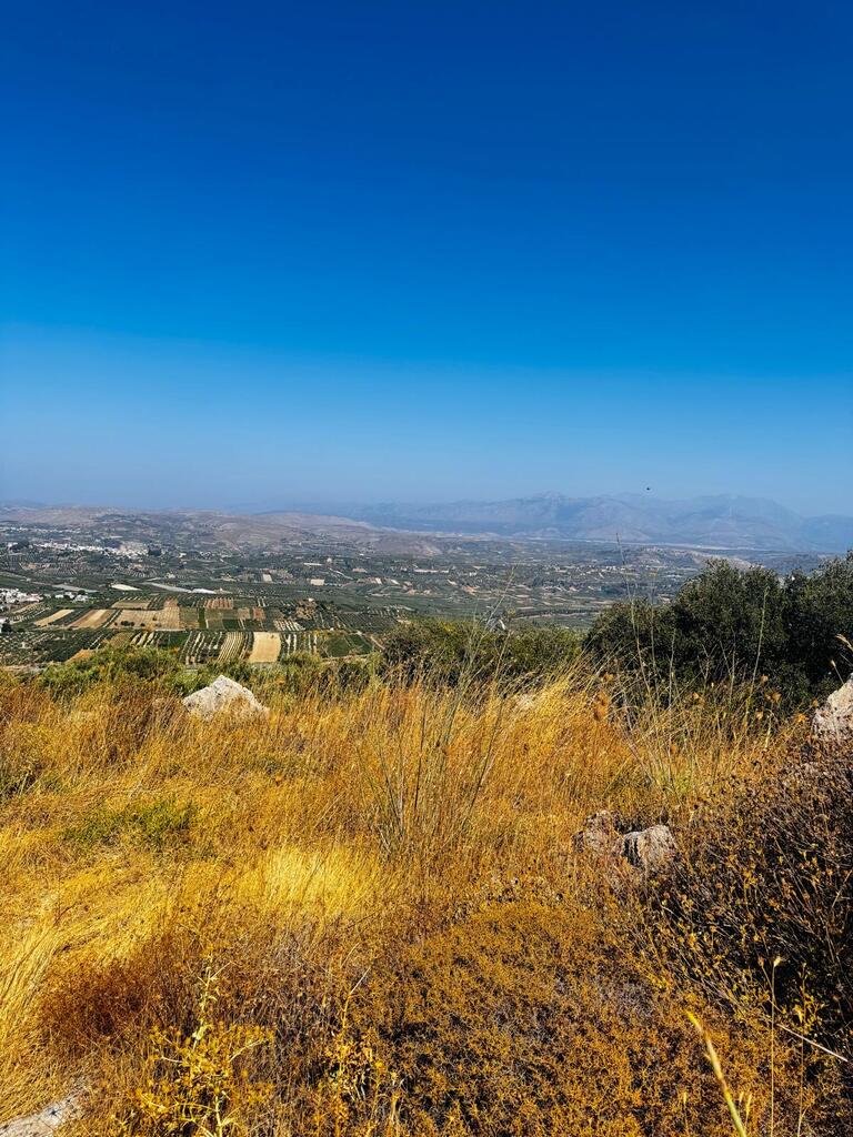 Land in Archanes, Heraklion Prefecture, Greece – 63958