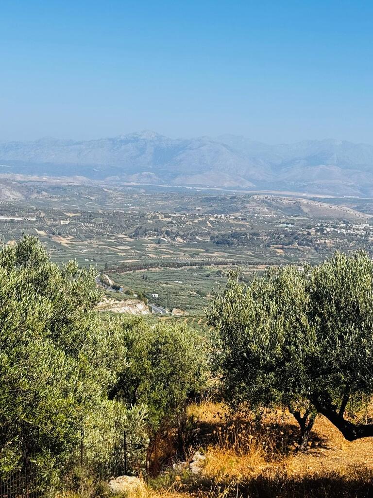 Land in Archanes, Heraklion Prefecture, Greece – 63957