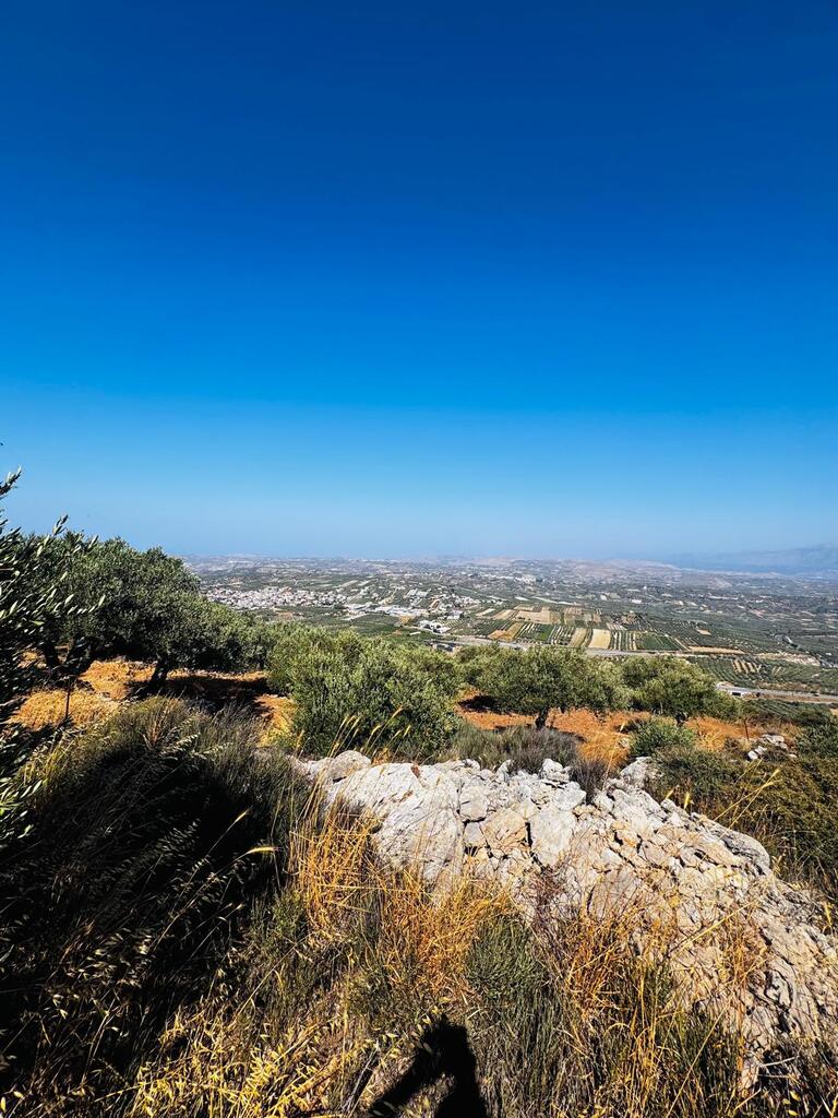 Land in Archanes, Heraklion Prefecture, Greece – 63957