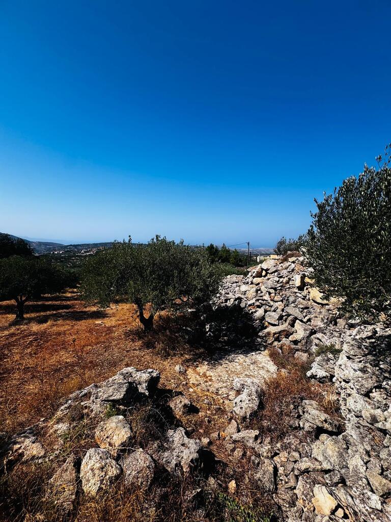 Land in Archanes, Heraklion Prefecture, Greece – 63957