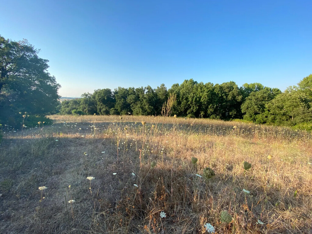 Land in Kassandra, Chalkidiki, Greece – 63946