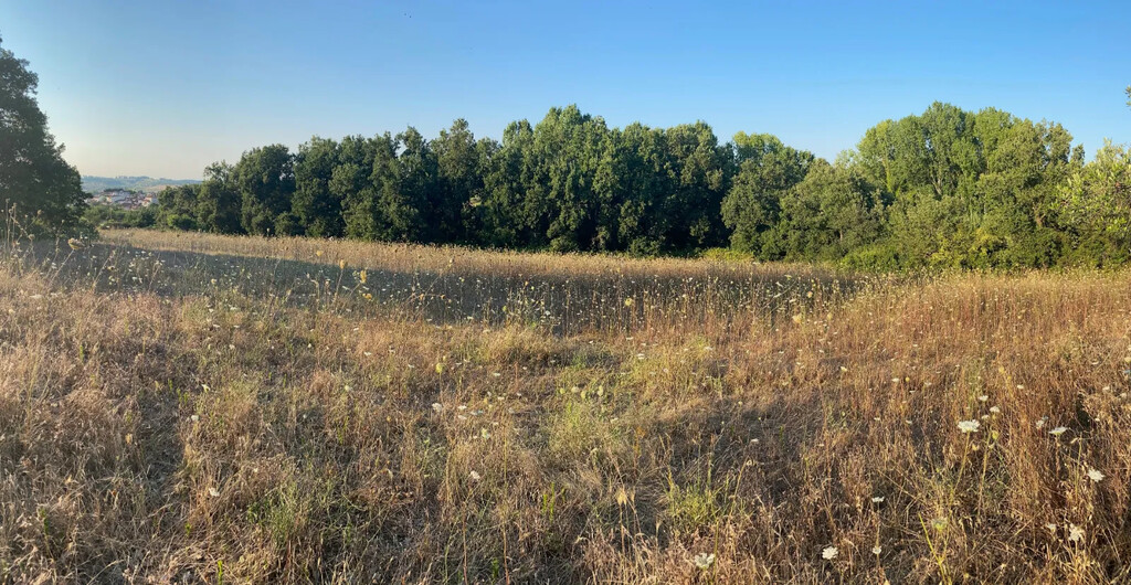 Land in Kassandra, Chalkidiki, Greece – 63946