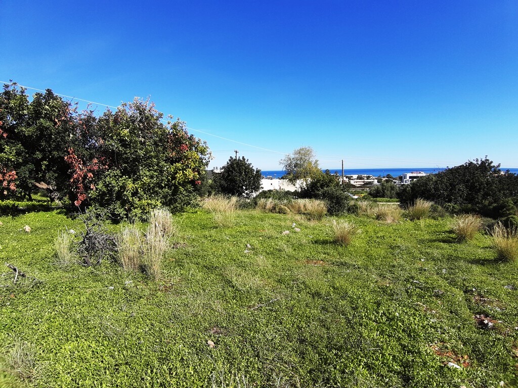 Land in Mallia, Heraklion Prefecture, Greece – 63904