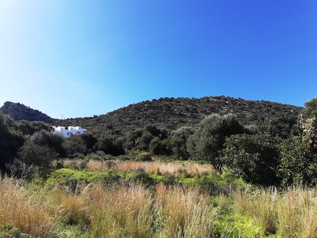 Land in Mallia, Heraklion Prefecture, Greece – 63904