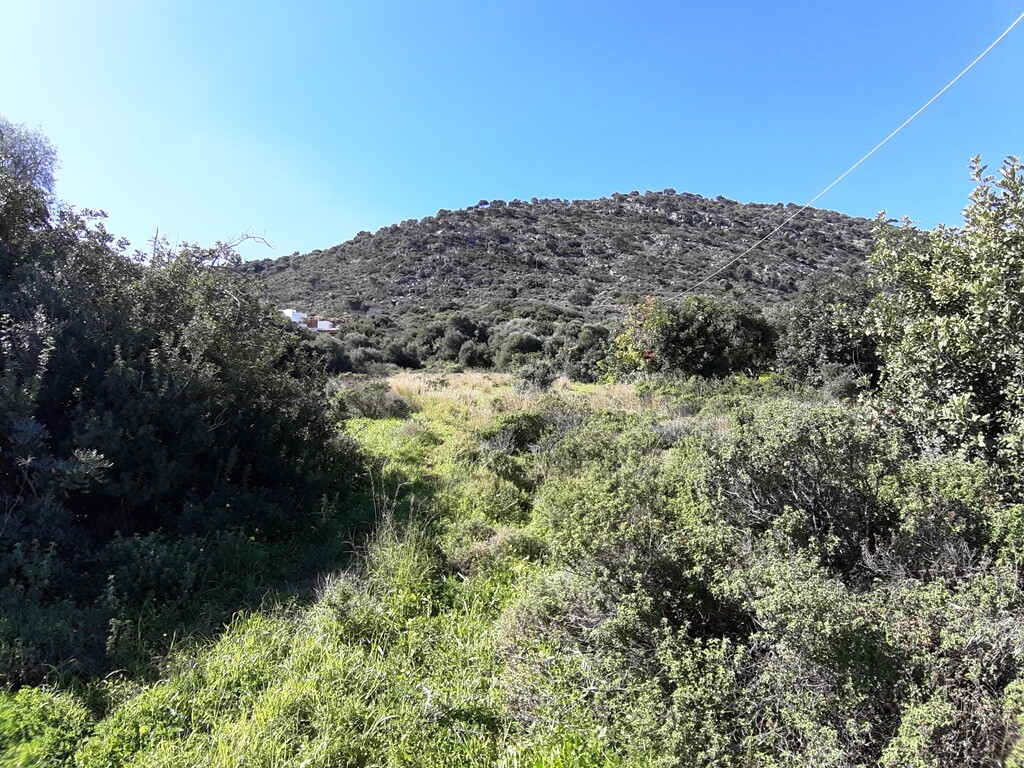 Land in Mallia, Heraklion Prefecture, Greece – 63904