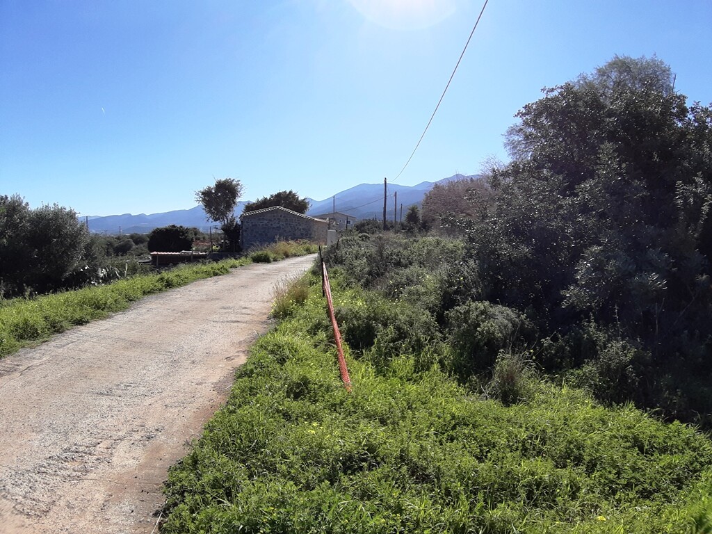 Land in Mallia, Heraklion Prefecture, Greece – 63904