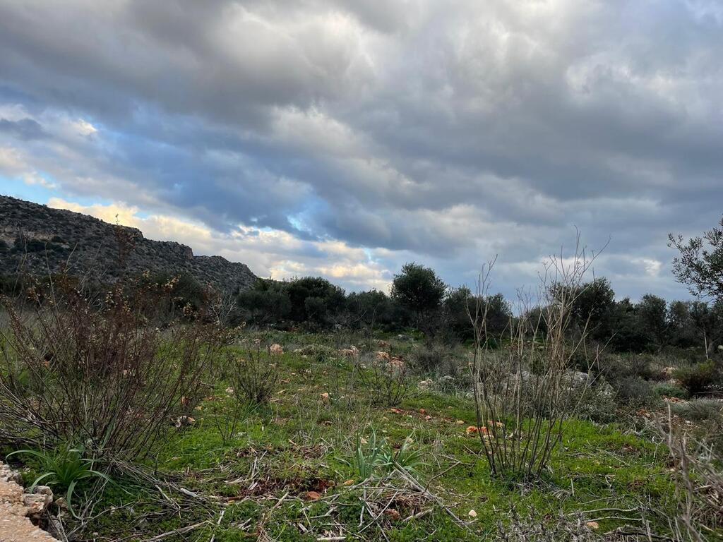 Land in Akrotiri, Chania Prefecture, Greece – 63900