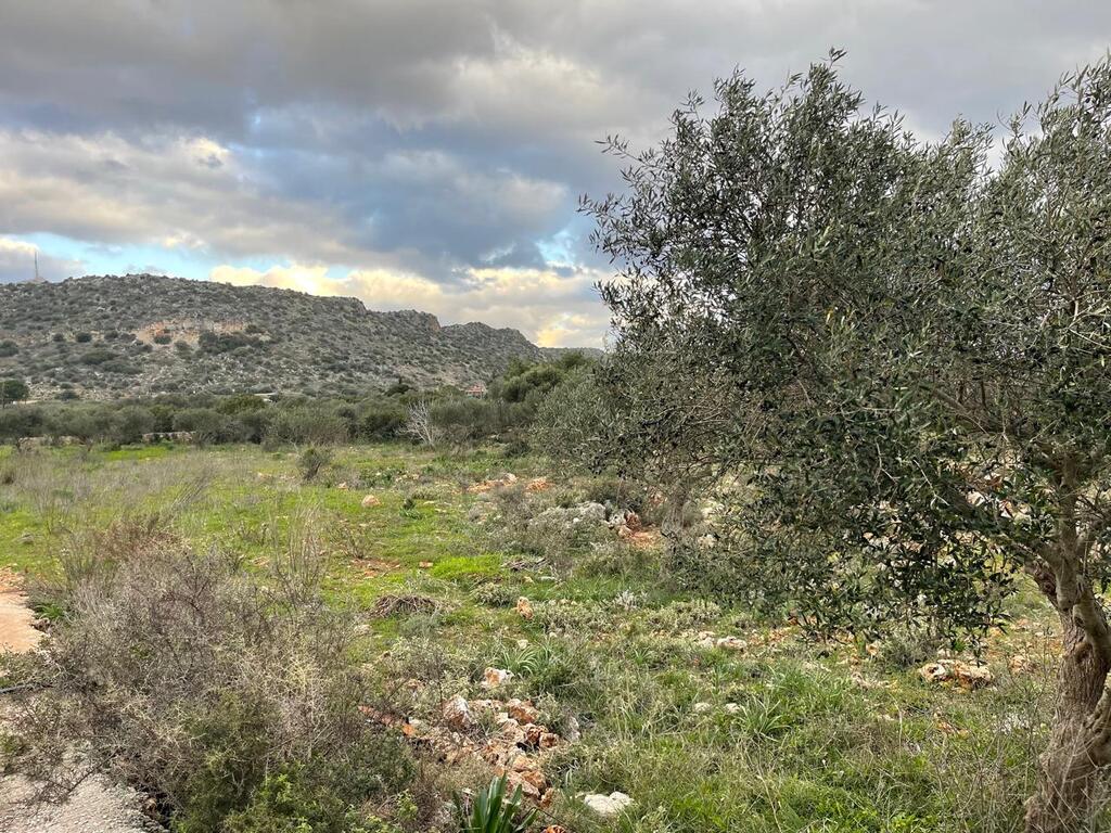 Land in Akrotiri, Chania Prefecture, Greece – 63900