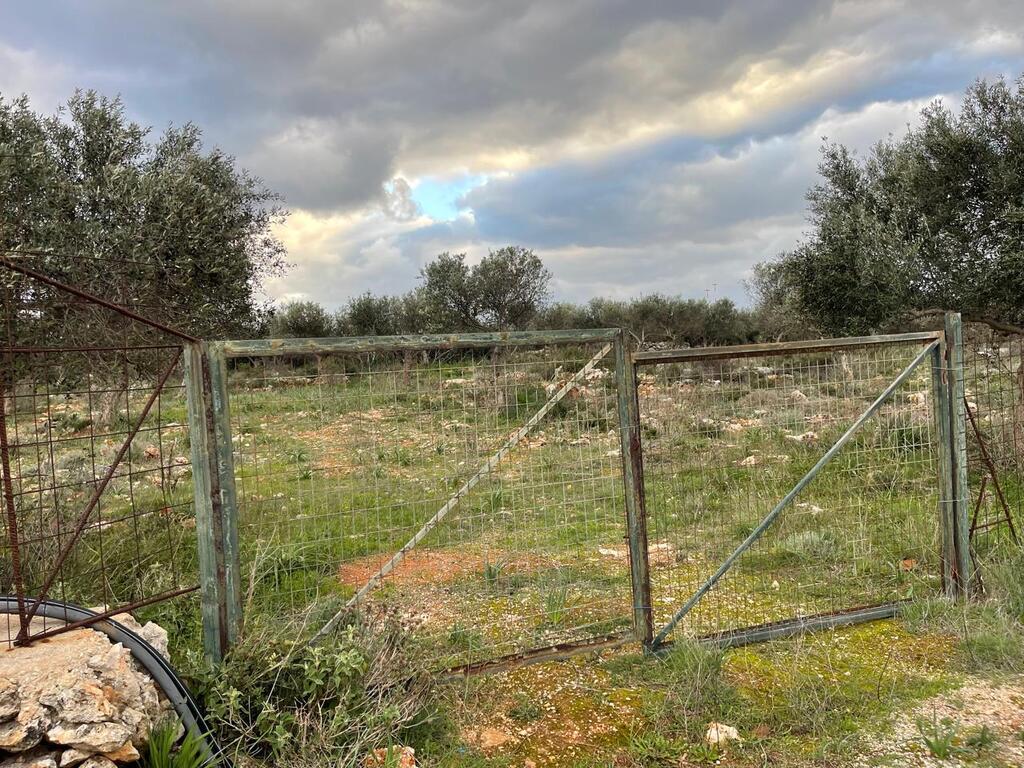 Land in Akrotiri, Chania Prefecture, Greece – 63900