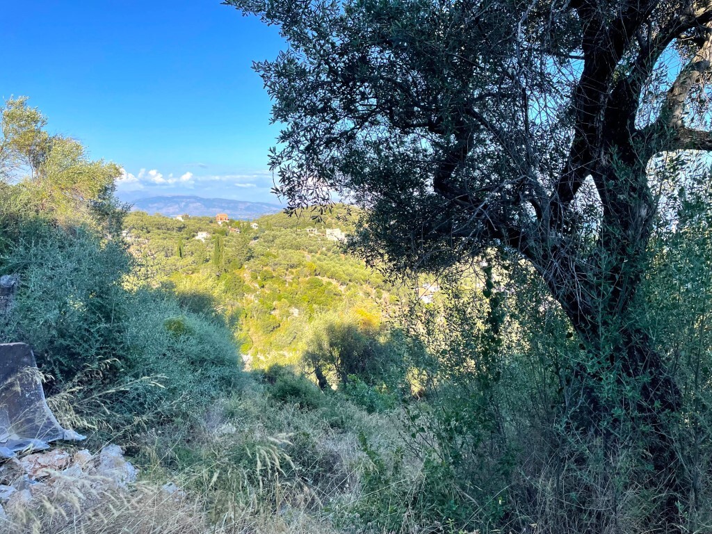 Land in Corfu, Corfu Prefecture, Greece – 63876