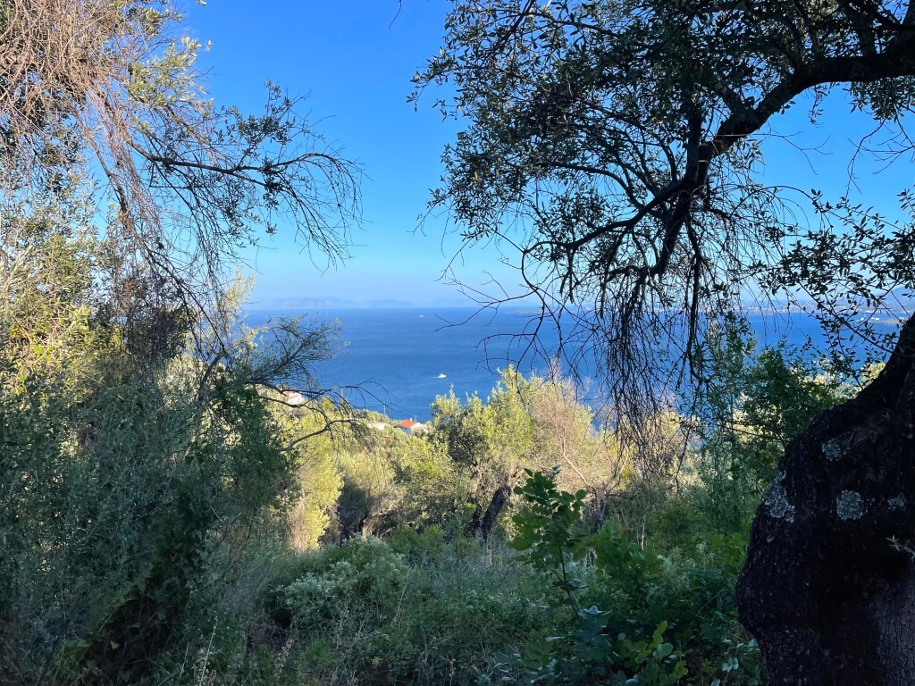 Land in Corfu, Corfu Prefecture, Greece – 63876