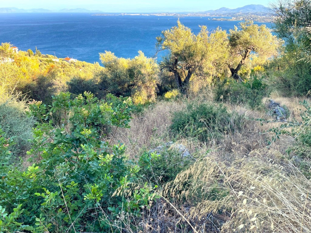 Land in Corfu, Corfu Prefecture, Greece – 63876