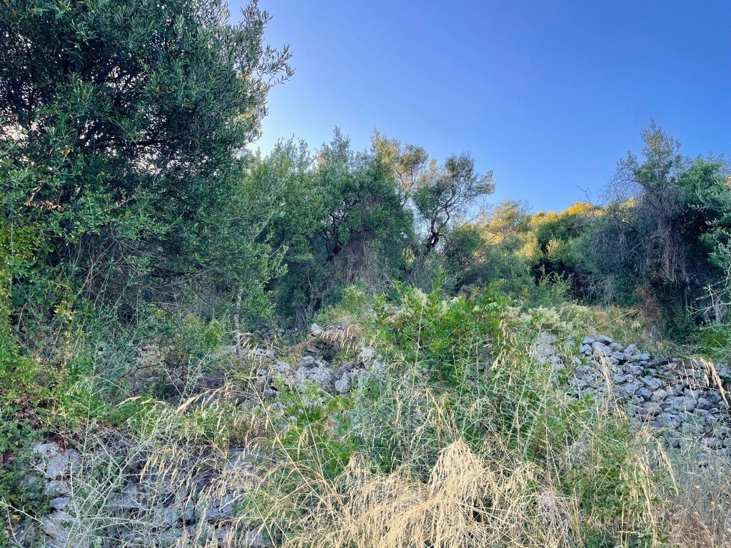 Land in Corfu, Corfu Prefecture, Greece – 63876