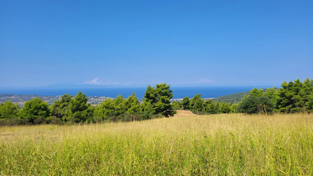 Land in Kassandra, Chalkidiki, Greece – 63849