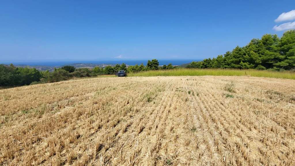 Land in Kassandra, Chalkidiki, Greece – 63849