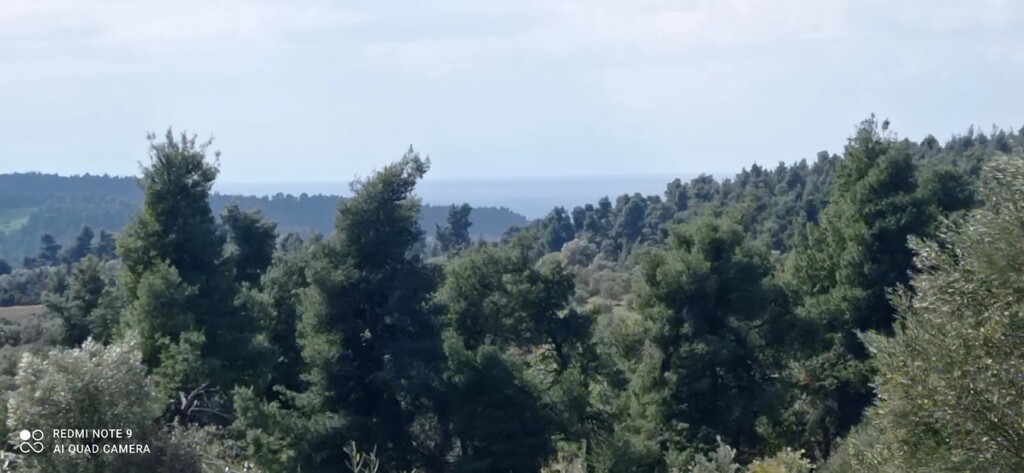 Land in Kassandra, Chalkidiki, Greece – 63779