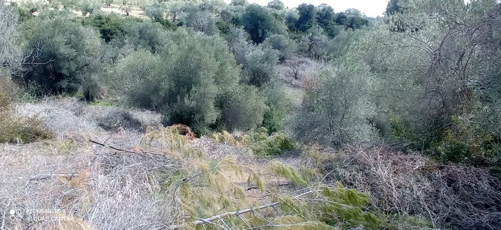 Land in Kassandra, Chalkidiki, Greece – 63779