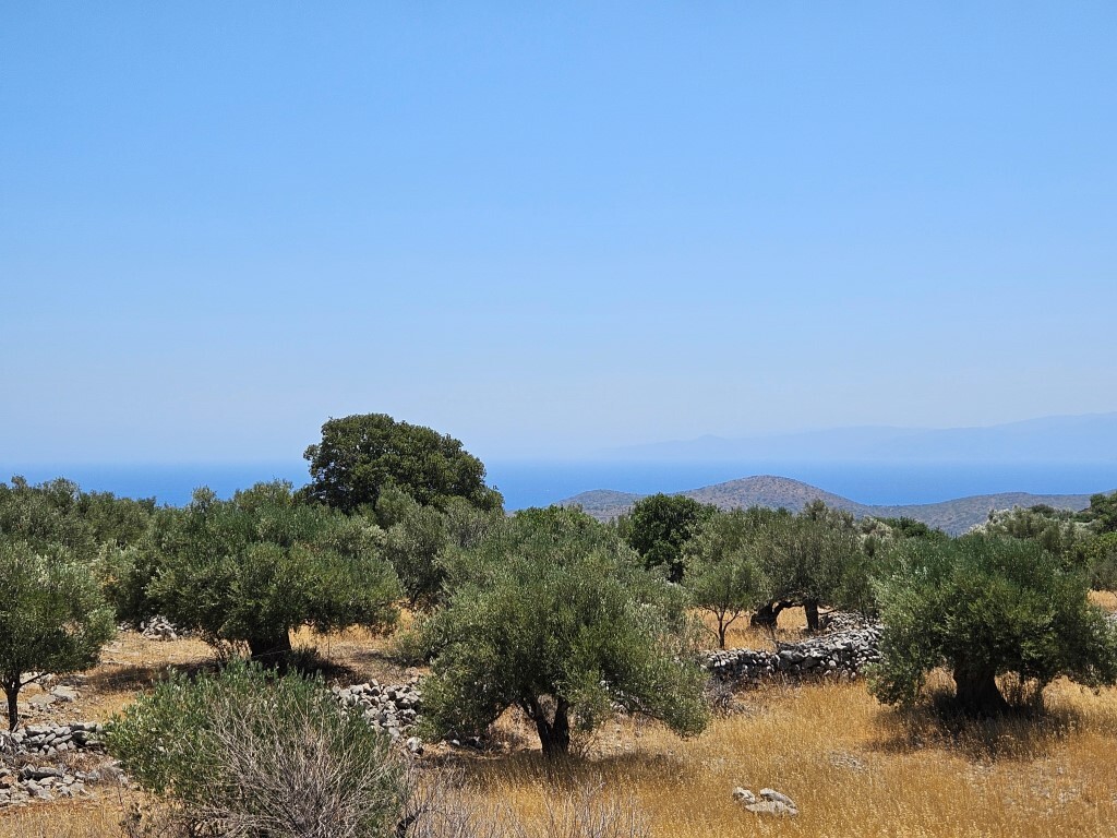 Land in Agios Nikolaos, Lasithi Prefecture, Greece – 63746
