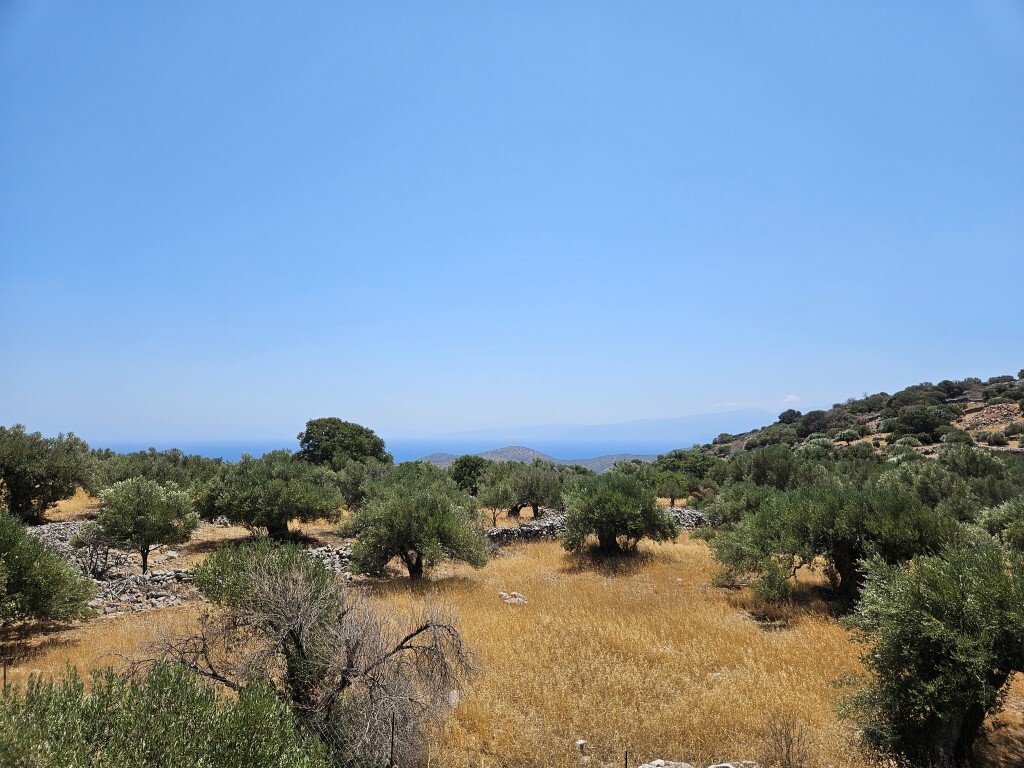 Land in Agios Nikolaos, Lasithi Prefecture, Greece – 63746