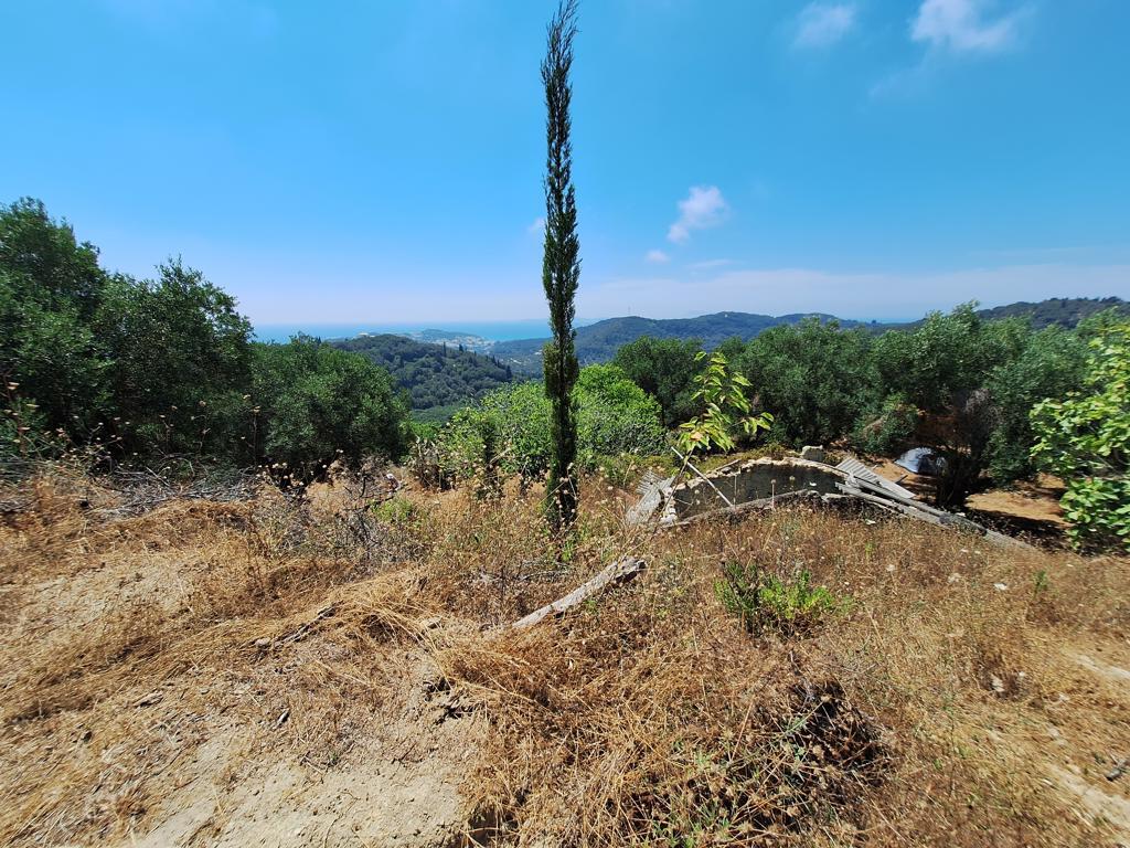 Land in Corfu, Corfu Prefecture, Greece – 63742