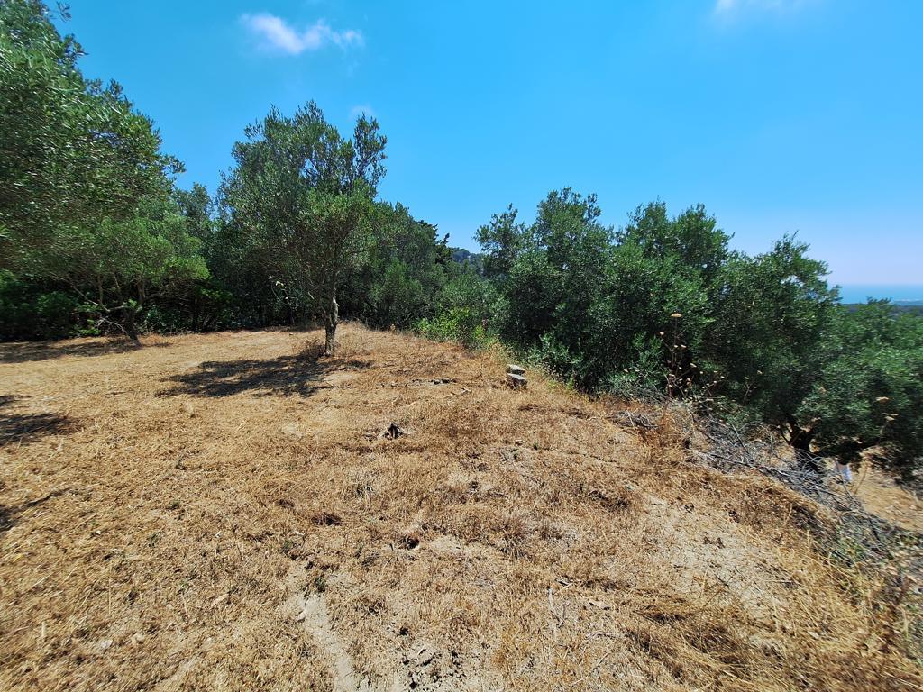 Land in Corfu, Corfu Prefecture, Greece – 63742