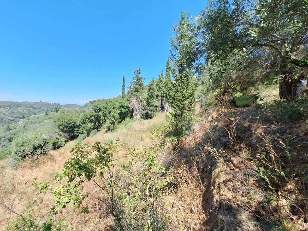 Land in Corfu, Corfu Prefecture, Greece – 63742