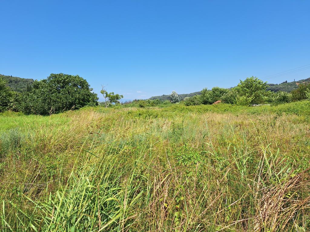 Land in Corfu, Corfu Prefecture, Greece – 63707