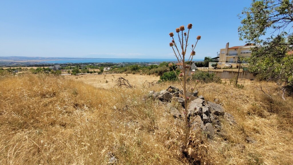 Land in Panorama, Thessaloniki – Suburbs, Greece – 63661