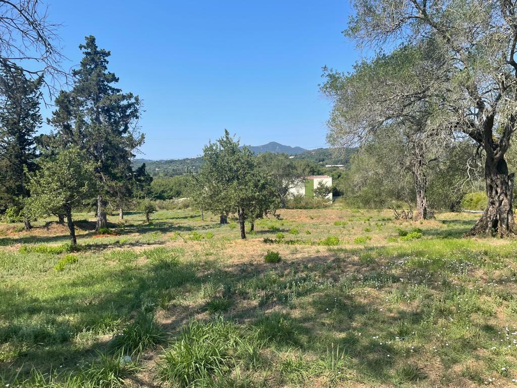 Land in Corfu, Corfu Prefecture, Greece – 63646