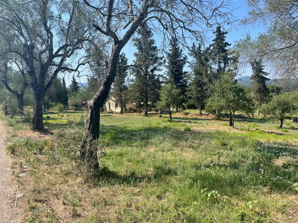 Land in Corfu, Corfu Prefecture, Greece – 63646