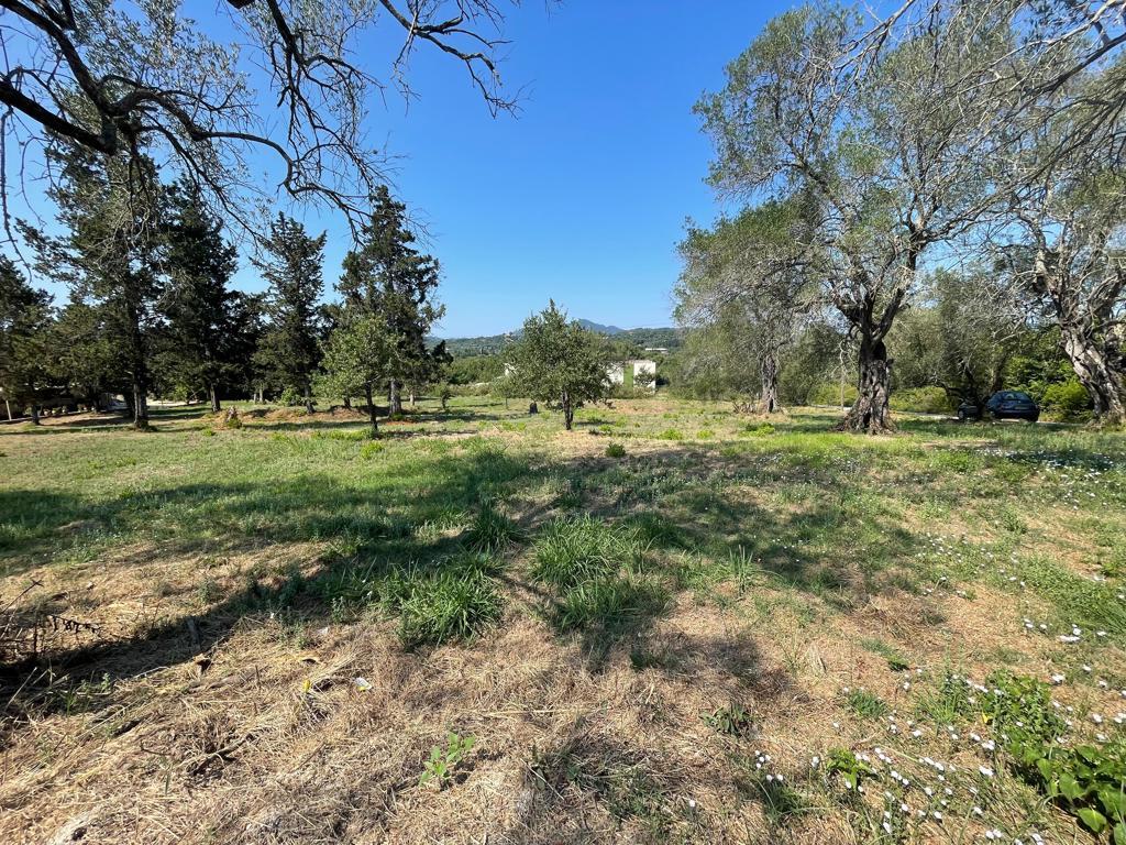 Land in Corfu, Corfu Prefecture, Greece – 63646