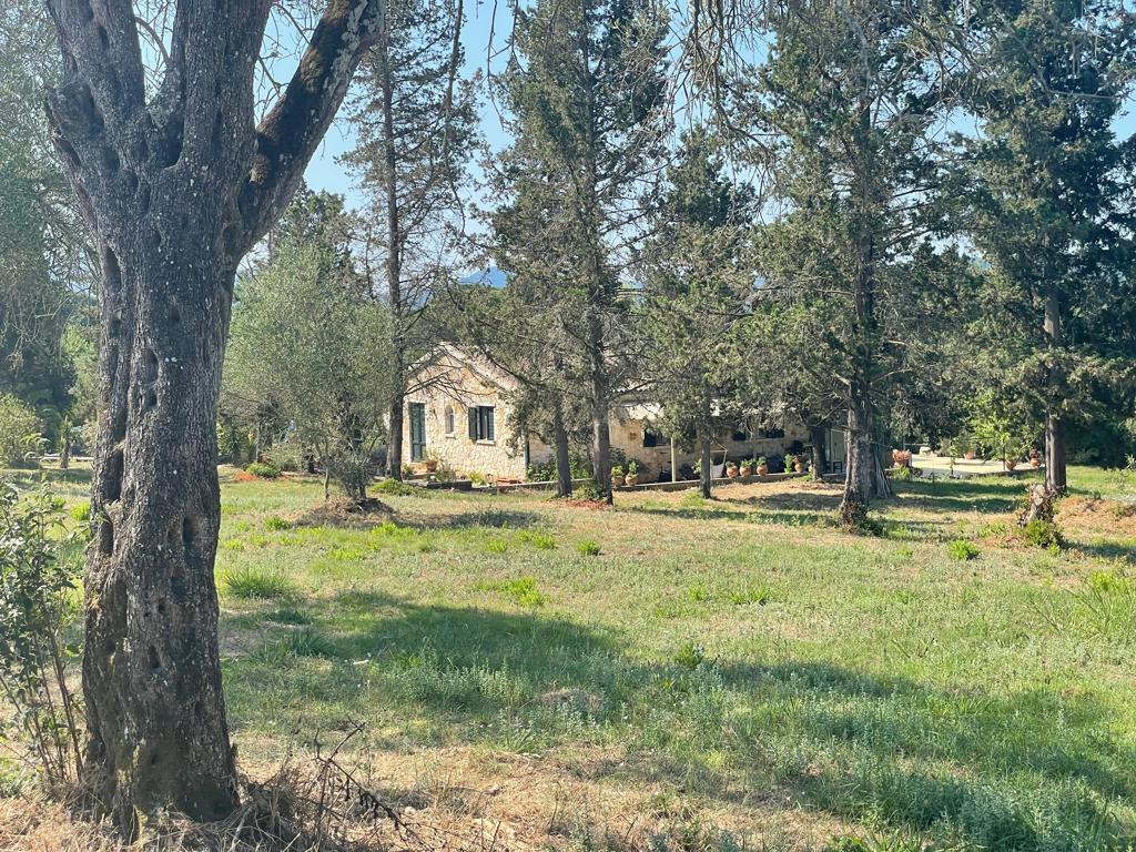 Land in Corfu, Corfu Prefecture, Greece – 63646