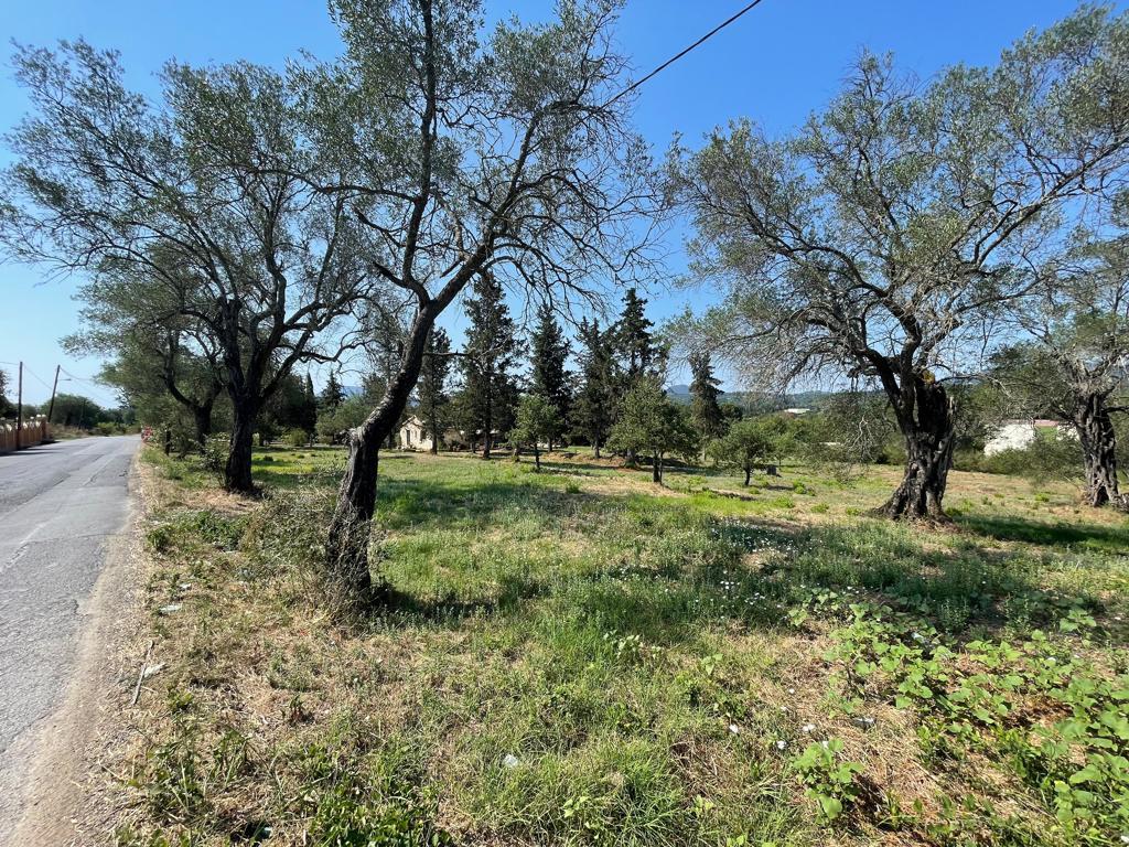 Land in Corfu, Corfu Prefecture, Greece – 63646