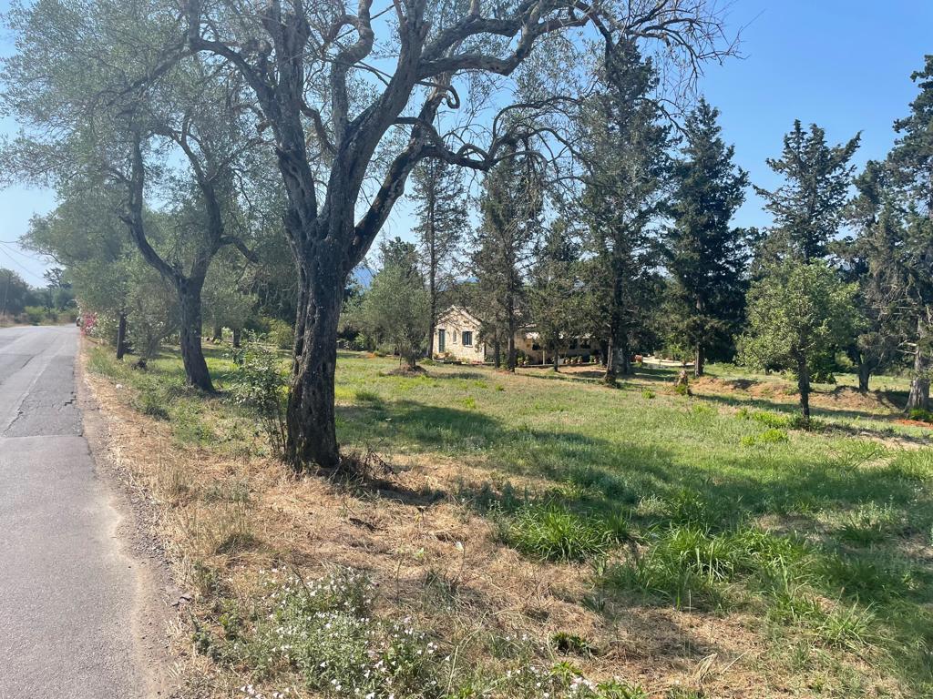 Land in Corfu, Corfu Prefecture, Greece – 63646