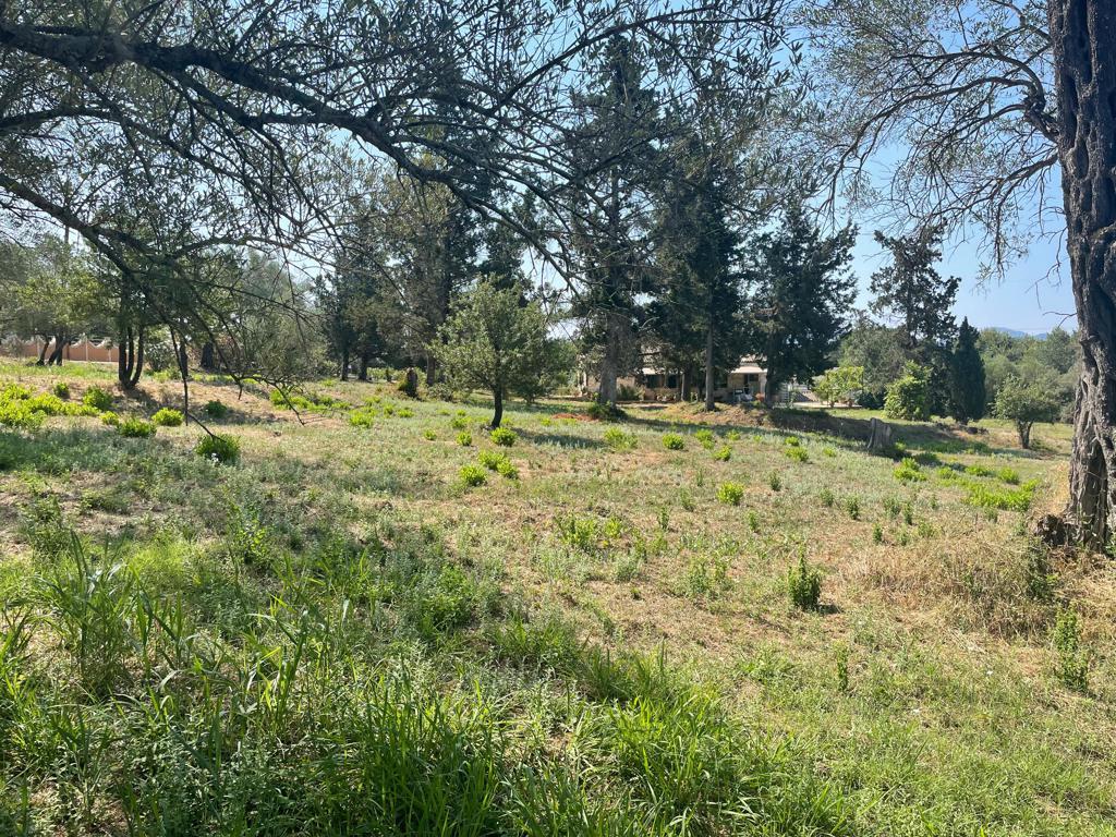 Land in Corfu, Corfu Prefecture, Greece – 63646