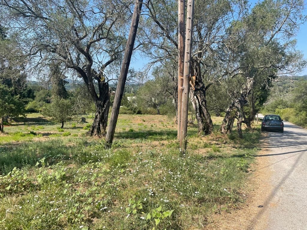 Land in Corfu, Corfu Prefecture, Greece – 63646