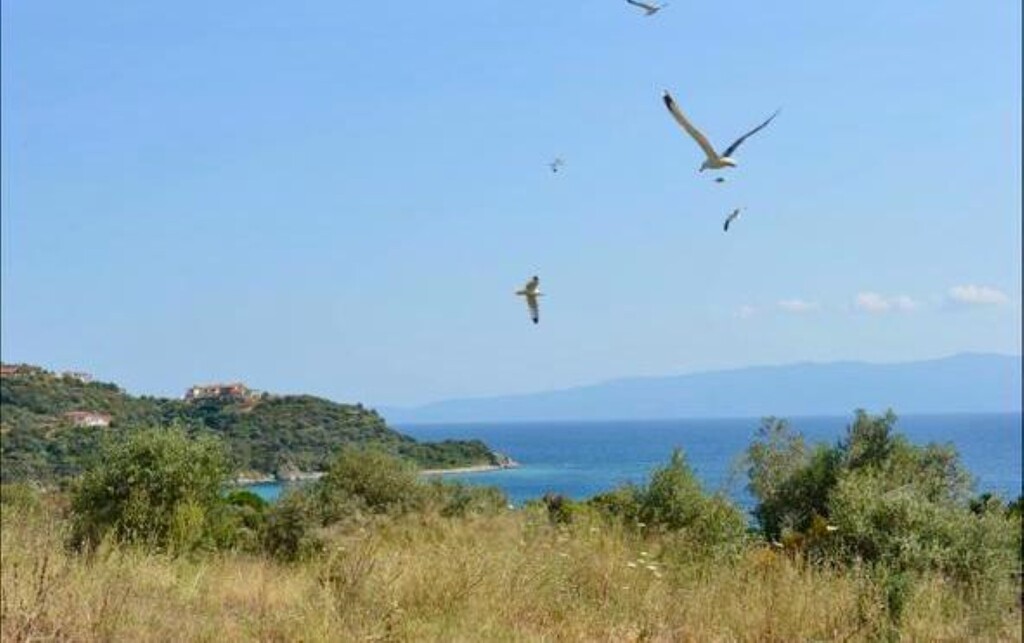 Flat in Aristotle, Chalkidiki, Greece – 63627