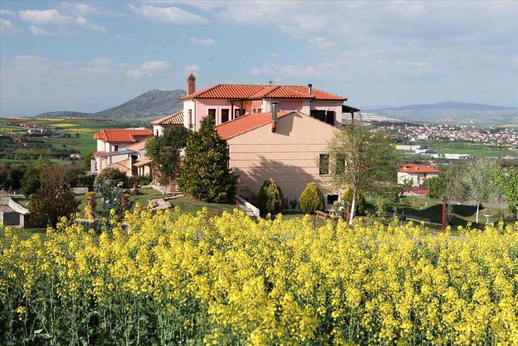 5 bedroom Villa in Migdonia, Thessaloniki – Suburbs, Greece – 63621