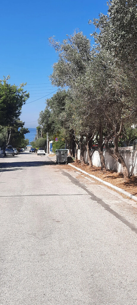 Land in Saronida, Rest Of Attica, Greece – 63575