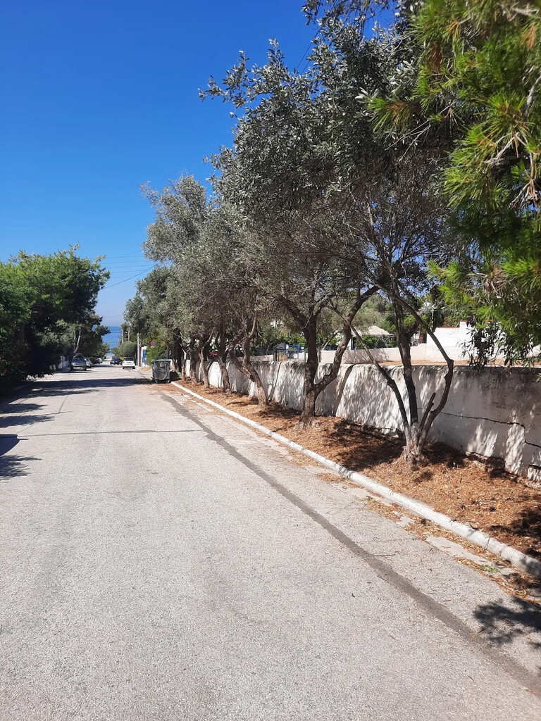 Land in Saronida, Rest Of Attica, Greece – 63575