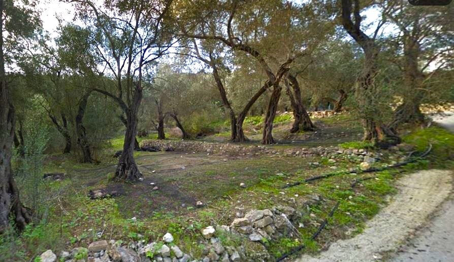 Land in Paxoi, Corfu Prefecture, Greece – 63511