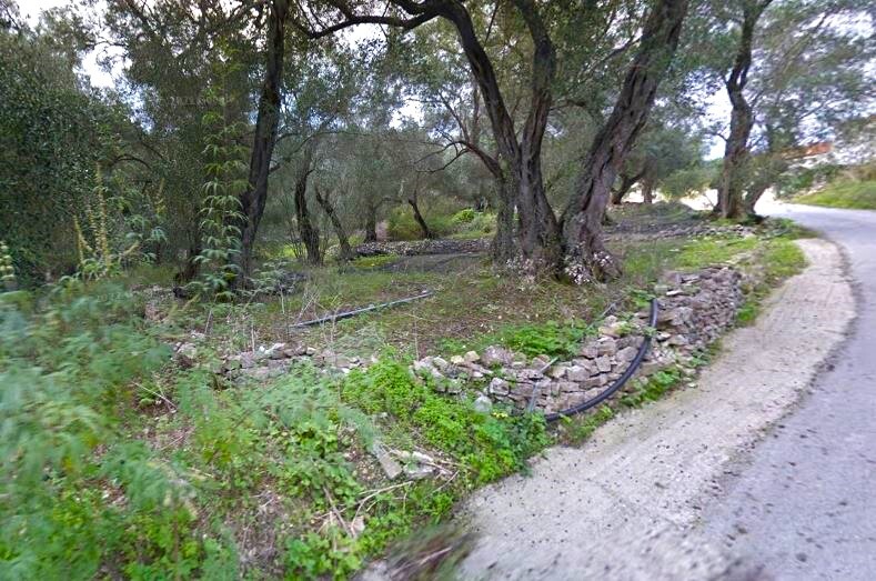 Land in Paxoi, Corfu Prefecture, Greece – 63511